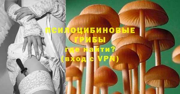 прущий лед Михайлов